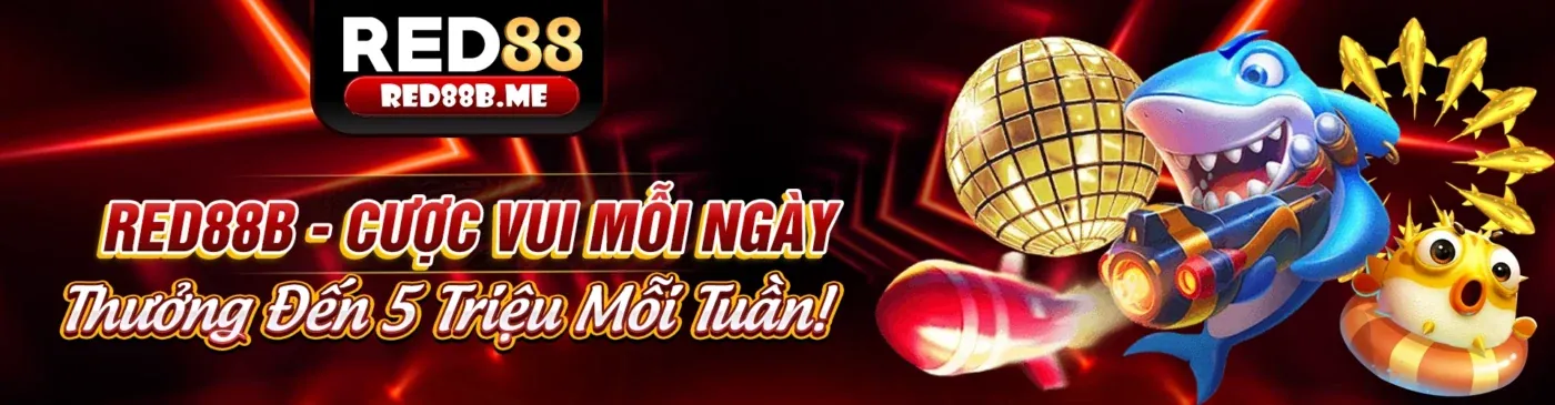 Giao diện ứng dụng ku bet88 trên điện thoại di động