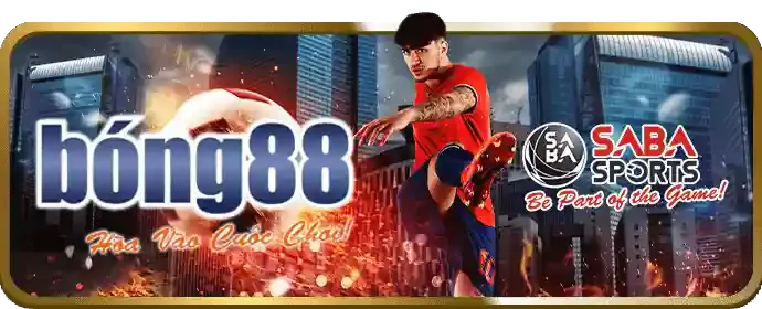 Email Hỗ trợ ku bet88